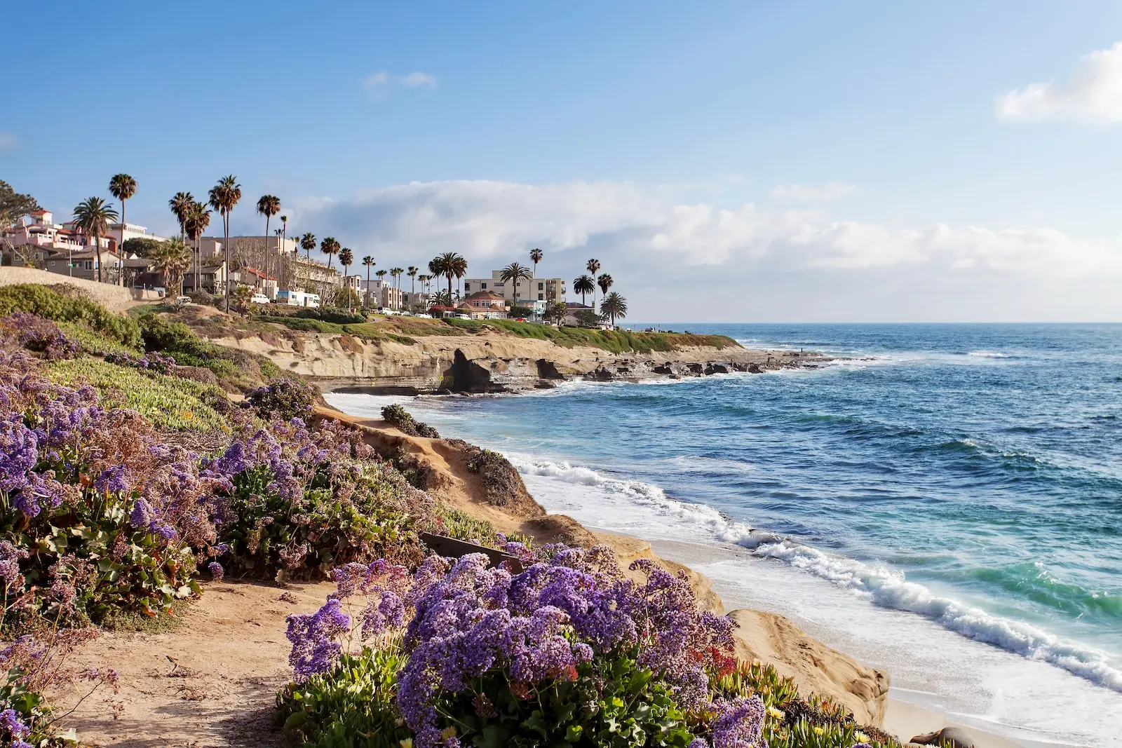 Beautiful coastal scene in San Diego, California